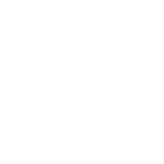 C.A.T. LIGHT